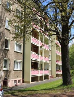 Günstige 3-Zimmer-Wohnung sucht neuen Mieter - Nossen