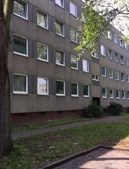 Nette Nachbarn gesucht: weitläufige 3-Zimmer-Wohnung - Kassel