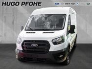 Ford Transit, 2.0 l Kastenwagen Trend 350 L3 EcoBlue, Jahr 2024 - Hamburg