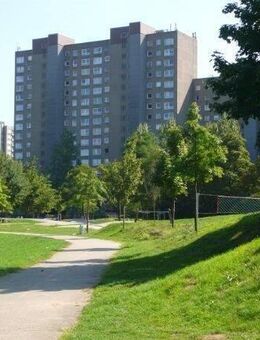 Geräumige 2-Zimmer-Wohnung in Darmstadt-Kranichstein - Darmstadt
