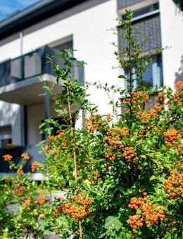 Kapitalanlage am Schlachtensee - VERMIETET - provisionsfrei - Stellplatz inklusive - Berlin