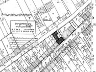 Kapitalanlage / Gepflegtes Mehrfamilienhaus mit 8 Wohneinheiten in ruhiger Lage von Konz-Karthaus - Konz