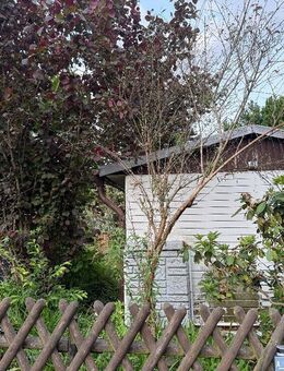 Freizeitgrundstück mit kleinem Bungalow - Bauland in ruhiger Lage - Siehdichum
