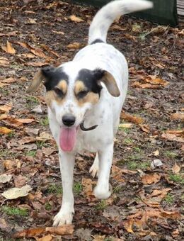 Äußerst freundliche NELLY sucht ♥️ - München