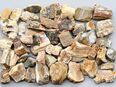 Edelsteine Wassersteine Deko – 900g Versteinertes Holz Rohware ( ABF-8 ) in 04680