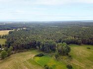 Nachverkauf: 2,3 ha Forstliegenschaft in der Oberlausitz - voll bestockt - Boxberg (Oberlausitz)