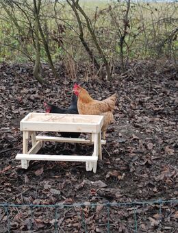 Hühner Picknicktisch aus Holz – Handgefertigt - Fridolfing