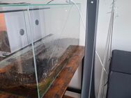 Terrarium 120x40x50cm, Vollglas - Wernigerode Schierke