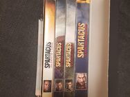 DVD Spartacus: Blood and Sand - Krauthausen