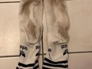 Suche Stinkesocken - Herne