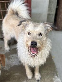 DELA - HATTE ZWEI HERRCHEN - Nörten-Hardenberg