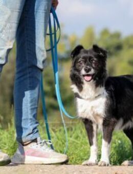 AMY - super fitte & brave Seniorin 💖 - Neudenau