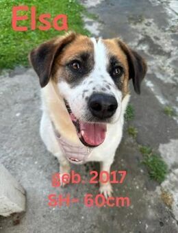 Elsa - unsere stille Heldin - Rinteln
