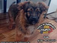 FRUMOS - hüpft direkt in euer Herz - Waakirchen