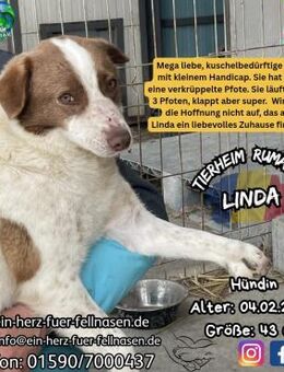 LINDA - junge Mama mit Zukunftsplänen - Waakirchen