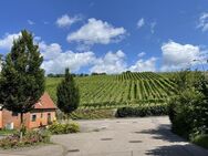 Einfamilienhaus in Traumlage mit großem Garten - Ilsfeld