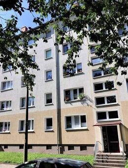 Michaelstraße! Bezugsfertig! Halbes Jahr- halbe (Kalt) Miete - Chemnitz