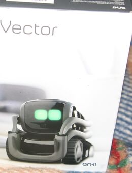 anki vector ki roboter lernroboter - Egg (Günz)