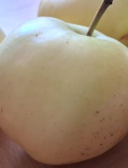 Sommeräpfel alte Sorte Klarapfel eigene Ernte ungespritzt - Bad Wildungen