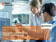 Mitarbeiter (m/w/d) für die Produktionssteuerung - Wietze