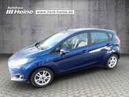 Ford Fiesta, 1.0 EcoBoost Trend, Jahr 2015 - Marienmünster