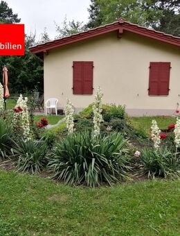 Ihr Ruhepol vor den Toren der Landeshauptstadt Erfurt. Gepflegter Eigentumsgarten mit Gartenhaus. - Erfurt