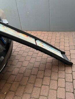 Hunderampe zusammenklappbar - Niedernhausen