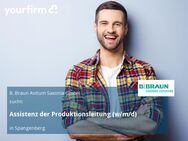 Assistenz der Produktionsleitung (w/m/d) - Spangenberg