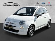 Fiat 500, 1.0 Club Mild Hybrid Musikstreaming, Jahr 2023 - Bremerhaven