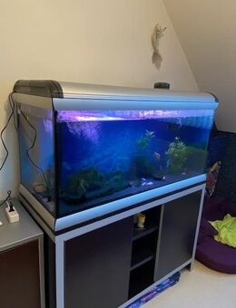 Verschenke ein Ferplast Aquarium Star 120. 122 x 52 x 57 cm ohne Unterschrank - Wenzenbach