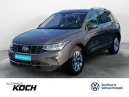 VW Tiguan, 1.5 TSI Move, Jahr 2024 - Öhringen