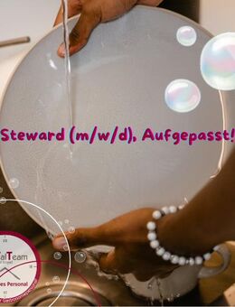 Steward gesucht – Deine Mission: Sauberkeit ! *ElbTalTeam* - Dresden