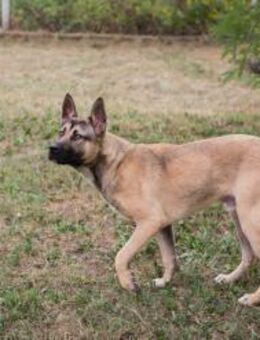 NINJO - das Abenteuer wartet auf uns - Overath