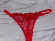 Sexy roter Tanga mit Spitze - Nürnberg