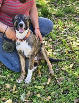 Kleine Kämpferin mit großem ♥️ ZOYA - München