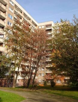 Großzügige 3-Zimmer-Wohnung in grüner Lage - Kassel