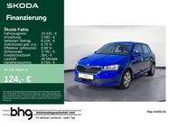 Skoda Fabia, 1.0 MPI Active Cool Plus, Jahr 2019 - Freudenstadt