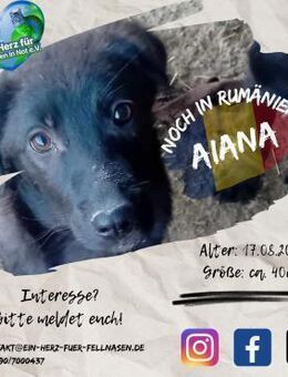 AIANA - möchte ihr Leben erleben - Waakirchen