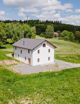 Naturidyll in Alleinlage: Neubau-Traumhaus (KfW40) mit Pferdehaltung auf 10.000?m² in Treffelstein - Treffelstein
