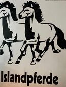 Islandpferdeschild aus Eisen in 79576