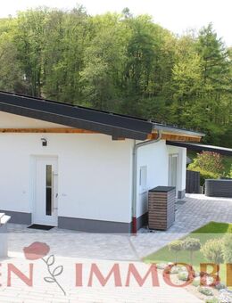 Naturliebhaber aufgepasst - Wald-Michelbach