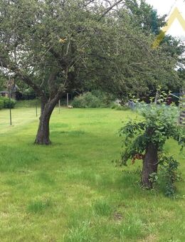 Schöne 4-Zimmer ETW im Einfamilienhaus-Charakter in guter Lage von Neumünster/Schl - Neumünster