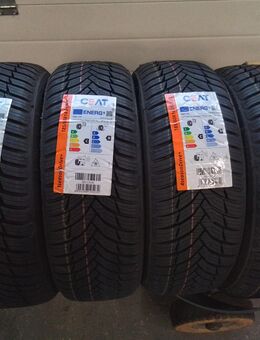 4 Neu Allwetterreifen Ganzjahresreifen G 185 60 14 86 H Ceat 270,- Euro incl. montage . - Sprendlingen