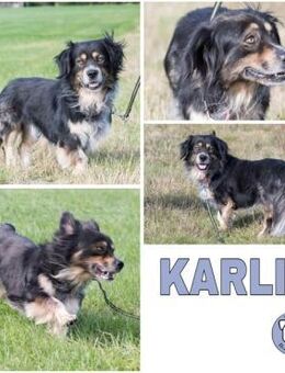 KARLI -menschenbezogene Frohnatur- - Duisburg