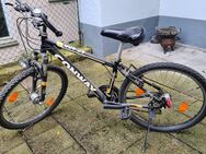 Mountainbike 26 Zoll - Wuppertal