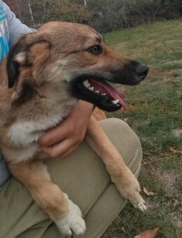 Dani möchte so gerne das TH verlassen - Olsberg