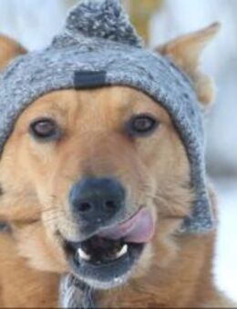 Vouki - Mönchengladbach