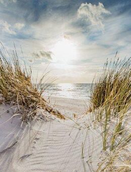 Bönninghoff Leinwandbild, Bilder vom Sonnenuntergang & -aufgang, Landschaft, Landschaften, Meer, Meer Bilder, Natur, Sonnenaufgang, Sonnenaufgang & -untergang, Strand, Strandbilder, Wiesen & Baumbilder, Wiesen & Bäume (1 St)