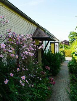 Gemütliches Reihenmittelhaus in Fachhochschulnähe - Wolfenbüttel
