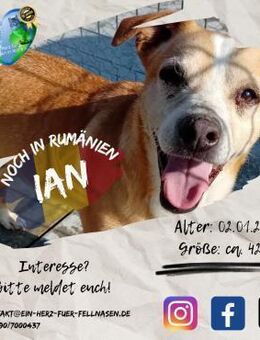 IAN- Best Ager bereit für sein Abenteuer - Waakirchen